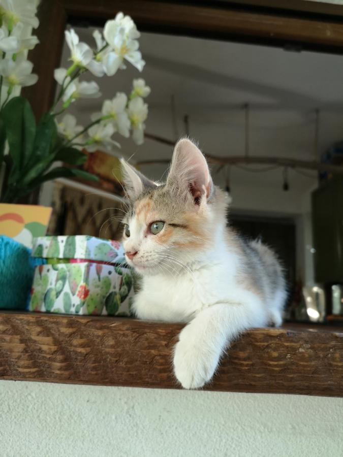 Pousada Makuti Pozzallo Dış mekan fotoğraf